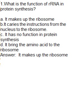 Unit 3 Lesson 13 Quiz